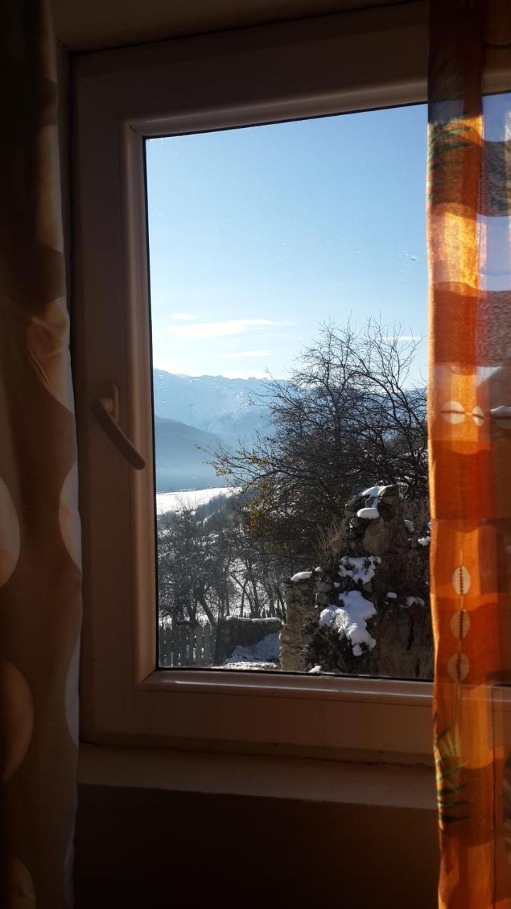Hotel Irina Lextagi Mestia Exteriér fotografie